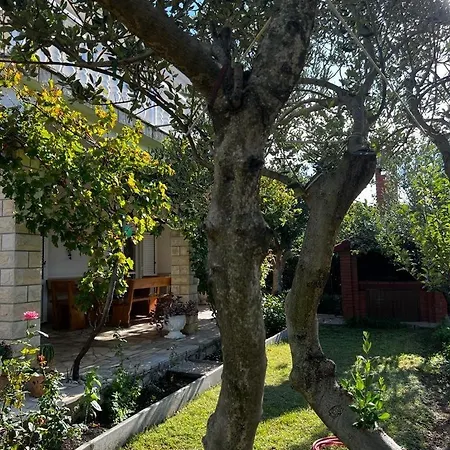 With Parking Space Vlasici, Pag - 4139 Appartamento