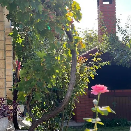 Apartments With Parking Space Vlasici, Pag - 4139 Vlasici